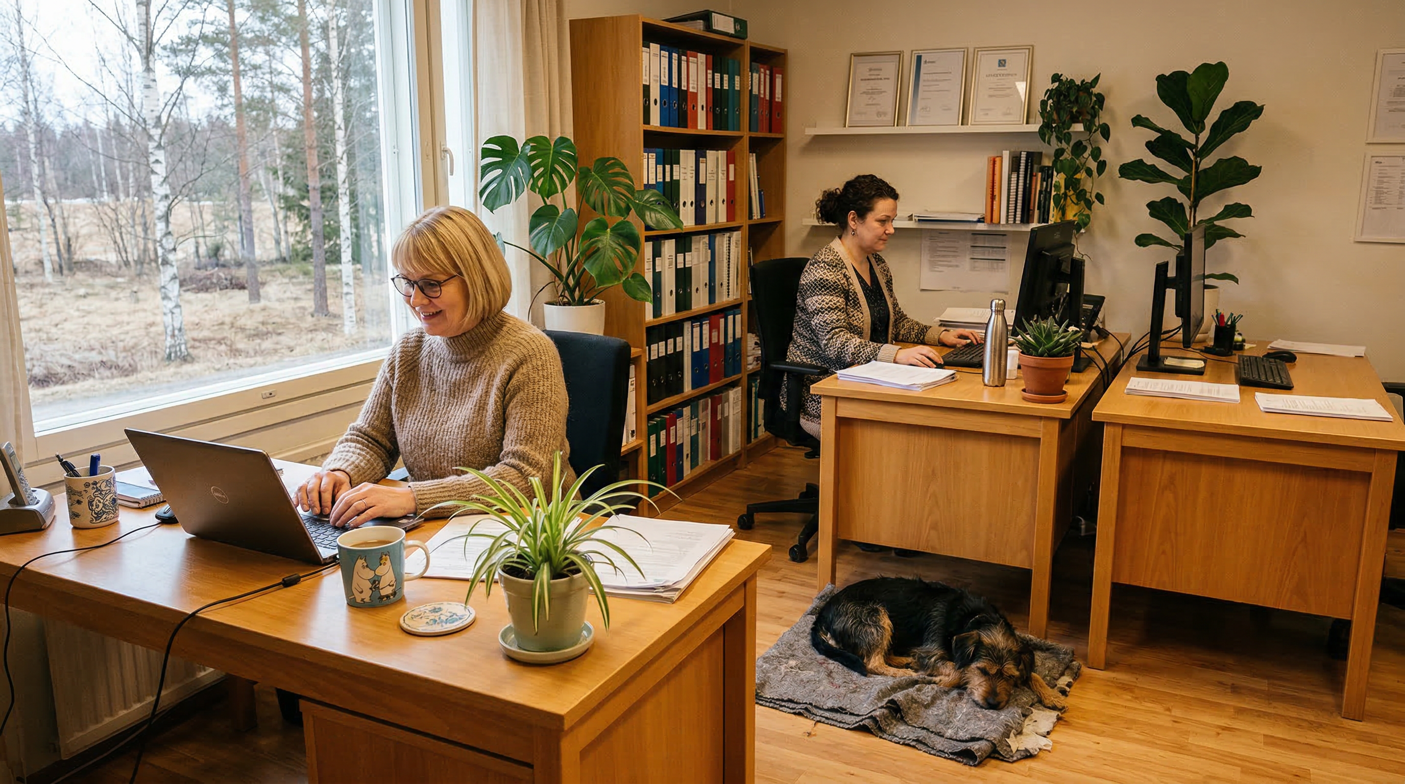 ThetaSoft Toimisto 4